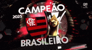 Flamengo Edite GIF