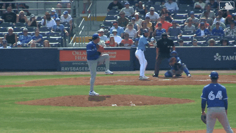 Blue Jays Mlb GIF by Toronto Blue Jays