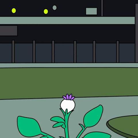 United States Nod GIF by Magic Eden