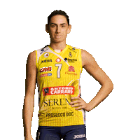 Pantere Imoco Sticker by ImocoVolley