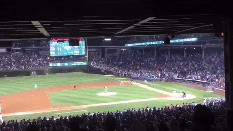 big cat kfc GIF by Barstool Sports