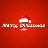 Merry Christmas GIF by Mister Fab