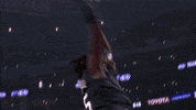 los angeles ok GIF by NBA