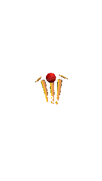 Sticker by Marvel Sports