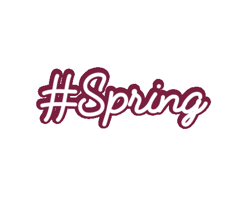 Spring Hashtag Sticker by Her Loop