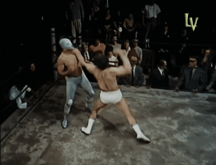 Fight Sport GIF by LosVagosNFT