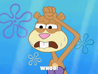 season 8 episode 20 GIF by SpongeBob SquarePants