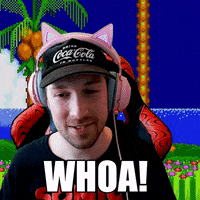 Video Games Wow GIF by Friendly Neighbor Records