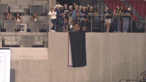 2025 GIF by National Women's Soccer League