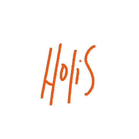 amereter giphyupload holis amereter Sticker