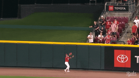 Baseball Mlb GIF by Cincinnati Reds