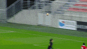 gala cosme damiao 2019 GIF