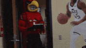 University Of Louisville Reaction GIF by Louisville Cardinals