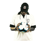 Gavioes Da Fiel Soccer Sticker