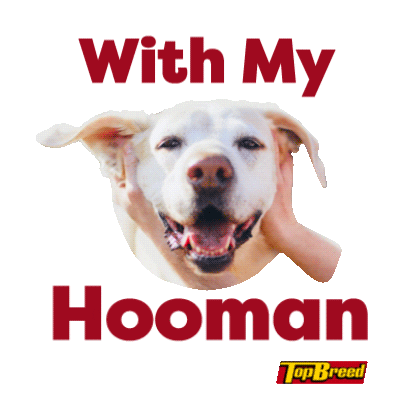 UniversalRobinaCorporation doggo pupper dogmom dog dad Sticker