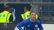 Football Soccer GIF by FC Schalke 04