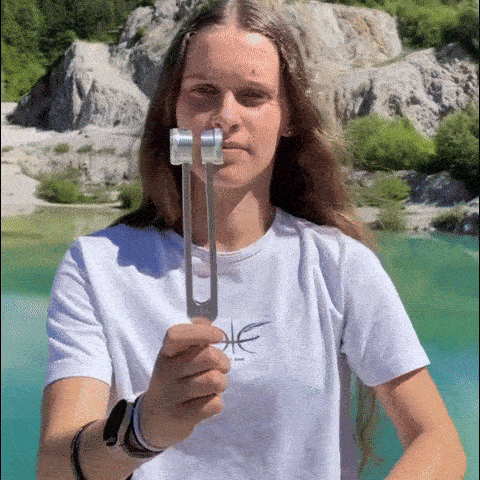 Gif 1