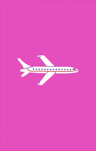 Study Abroad