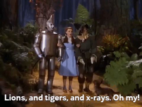 wizard of oz lions GIF