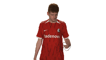 Proud Sc Freiburg Sticker by Bundesliga