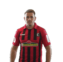 Sc Freiburg Celebration Sticker by SCF