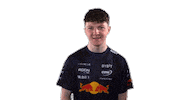 Red Bull Sr Sticker by Oracle Red Bull Racing
