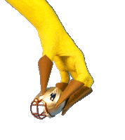 Football Win Sticker