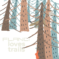 Flancirunning Sticker by FLANCI Activewear
