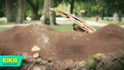 fun surprise GIF by KiKA