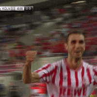 1 Fc Cologne Football GIF by 1. FC Köln