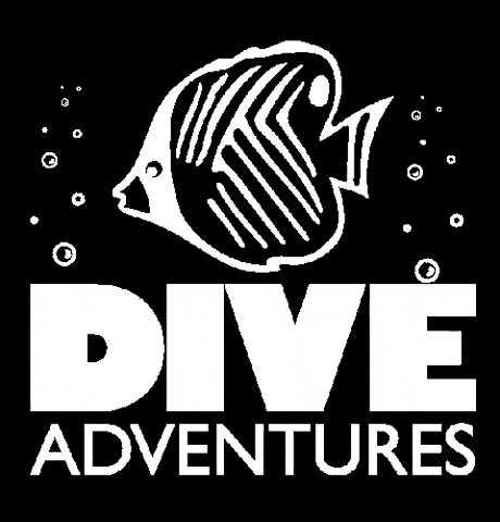 diveadventures giphygifmaker giphyattribution travel diving GIF