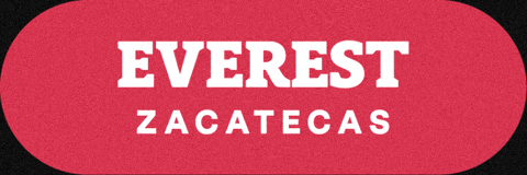 Torneo De La Amistad GIF by TDLA