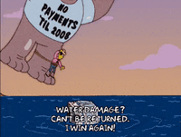 bart simpson episode 13 GIF