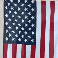 rfkracing america nascar independence day hey there GIF