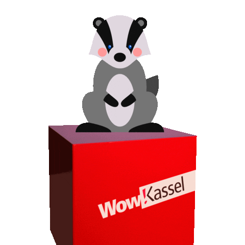 wowkassel giphyupload wow yeah deutschland Sticker