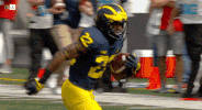 Go Blue Michigan Football GIF by Michigan Athletics