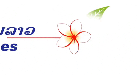 Logo Flower GIF by Lao Airlines