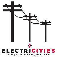 electricities electricities powernc ncpower ncelectric Sticker