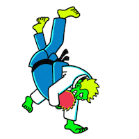 martial arts olympics Sticker by Olympic Channel