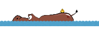 Water Bird Sticker