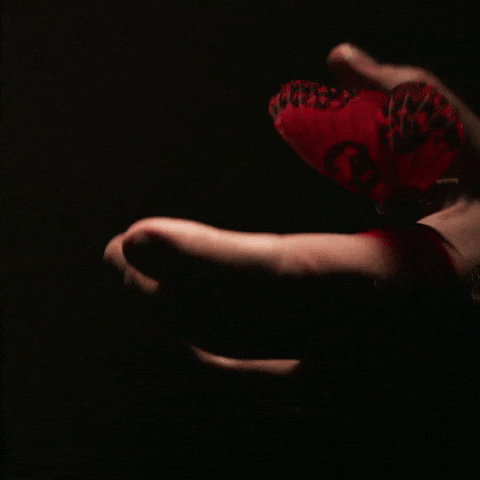 Bo7 GIF by Call of Duty