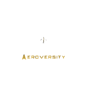 Plane Aeroplane Sticker by Aeroversity
