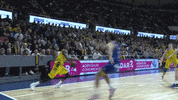 Liga Endesa Basketball GIF by ACB