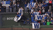 Chicago Cubs Baseball GIF