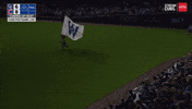 Chicago Cubs Baseball GIF