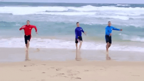 Happy The Beach GIF by The Wiggles