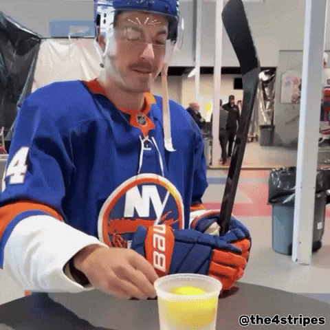 Hockey Nhl GIF