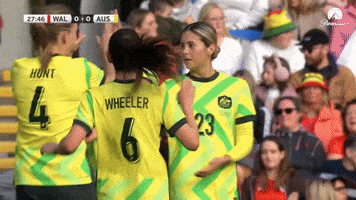 Celebration GIF by Football Australia
