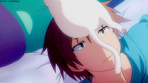 anime cat GIF