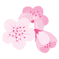 pink flowers Sticker by Tereza's Choice